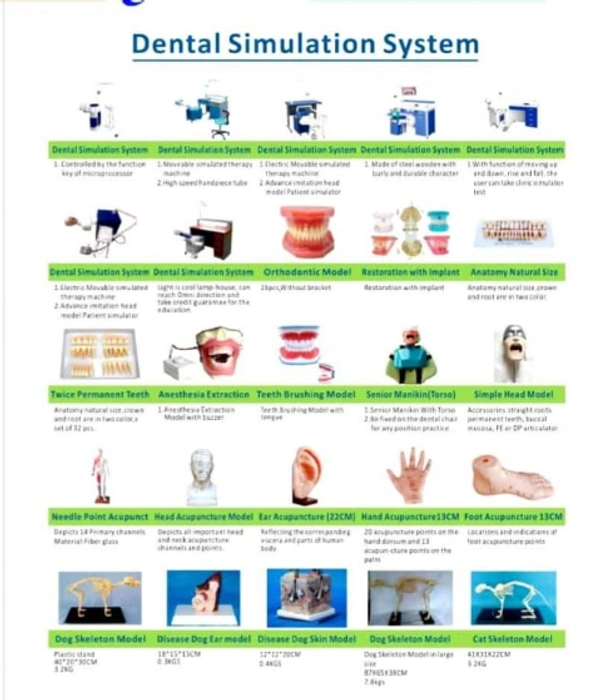 Dental Simulation Systems